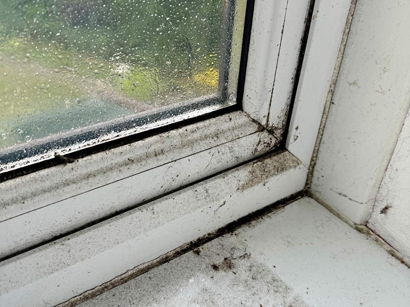 How Old Windows Could Be Costing You More Than You Realize